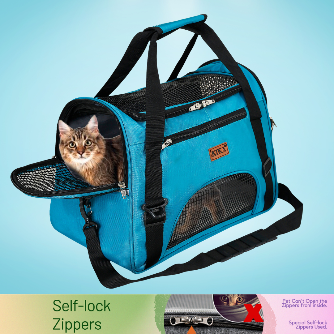 Cat carrier hotsell and bed