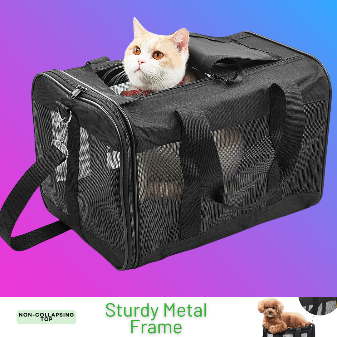 Pet carry on bag best sale