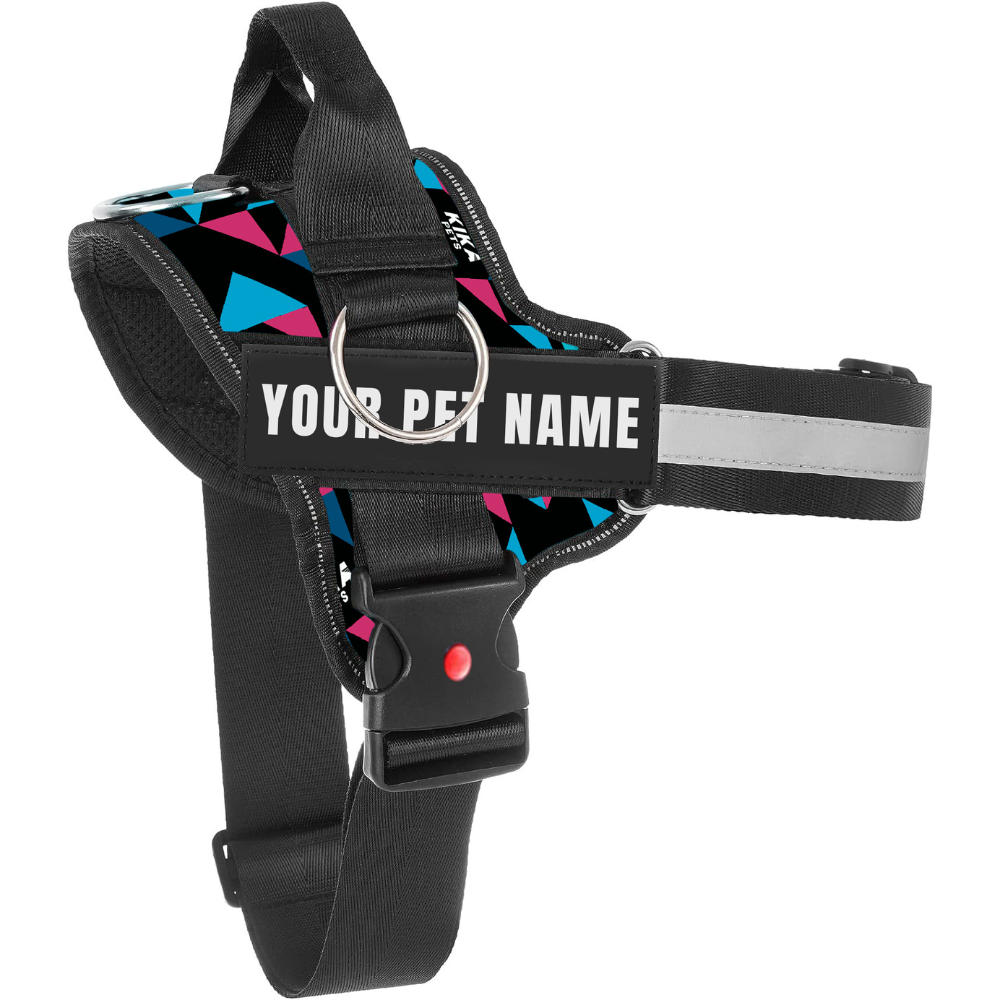 Dog harness best sale with name