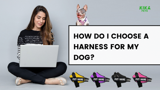 How do I choose a harness for my dog?