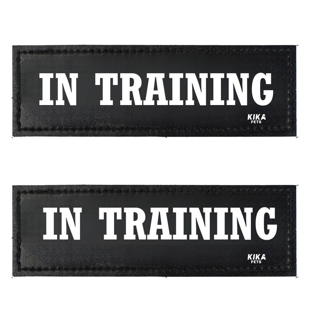 KIKA Pets Name Tag for Dog Harness and Pet Carrier Bags with Velcro Backing, Pack of 2 pcs