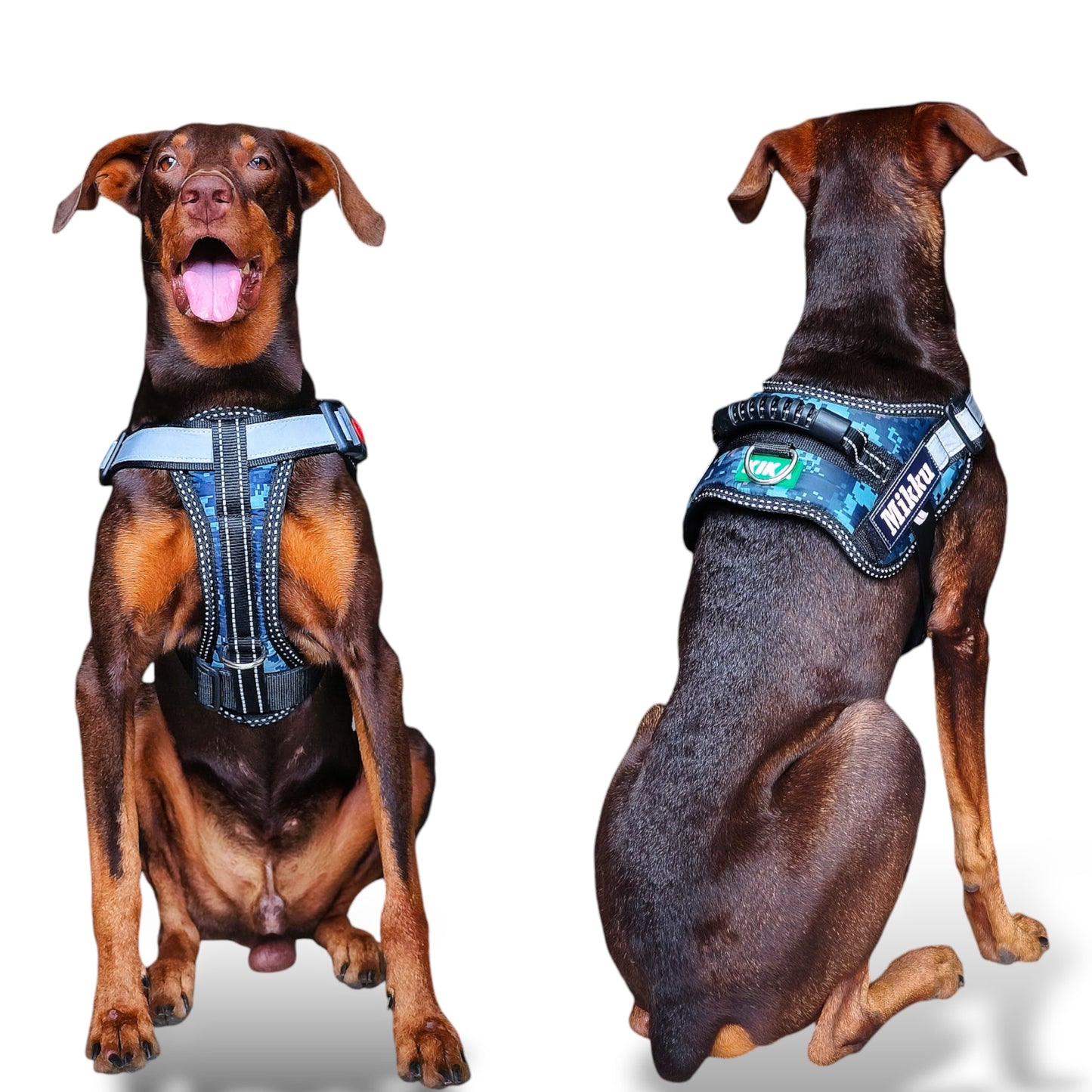 KIKA Pets MUSCLE Dog Harness for Large Dogs with Dog Name Personalisation