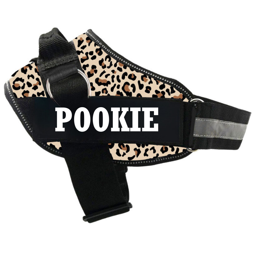 Personalized Dog Harness | Dog Harness With Name | KIKA PETS