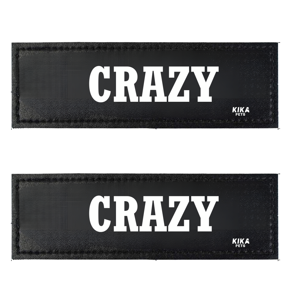 KIKA Pets Name Tag for Dog Harness and Pet Carrier Bags with Velcro Backing, Pack of 2 pcs