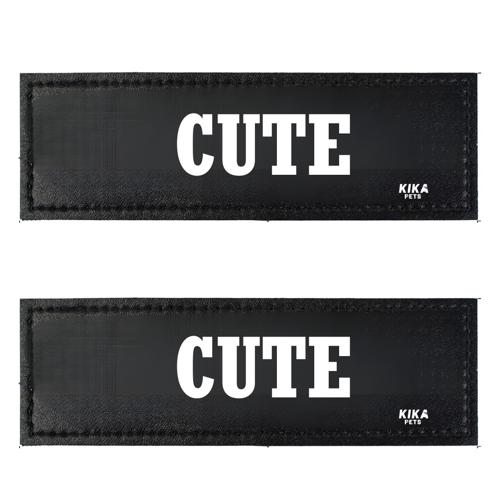 KIKA Pets Name Tag for Dog Harness, Pet Carrier Bags with Velcro Backing, (Pack of 2 pcs)