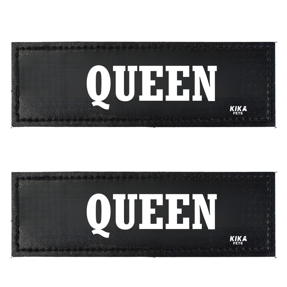 KIKA Pets Name Tag for Dog Harness and Pet Carrier Bags with Velcro Backing, Pack of 2 pcs