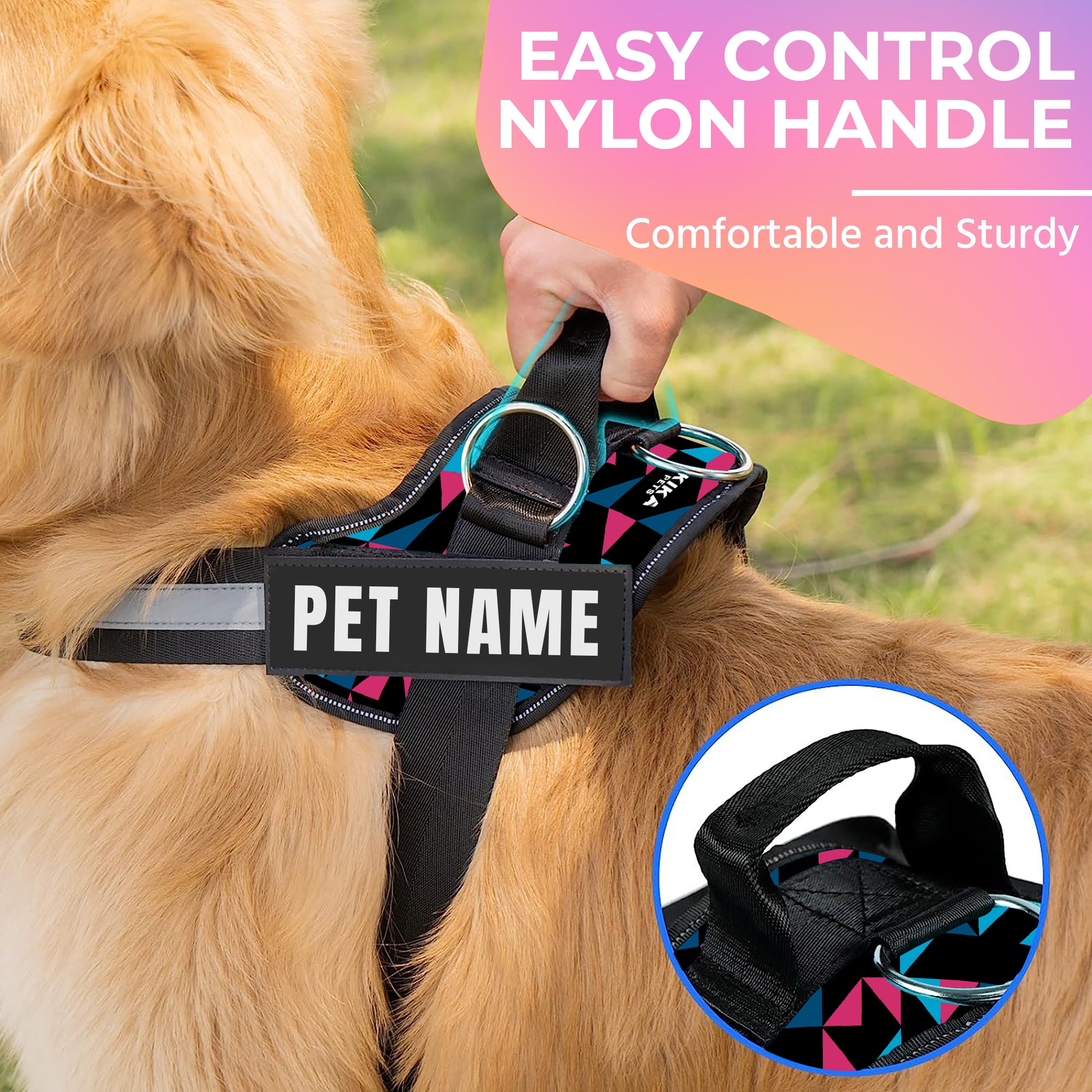 Personalized dog 2024 harness and leash