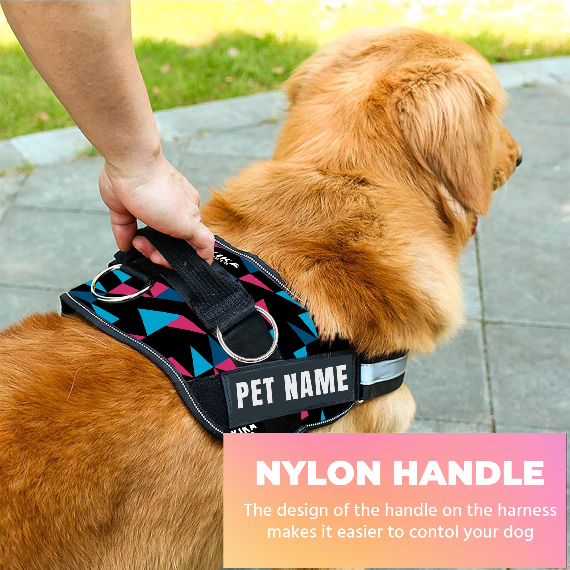 Dog name outlet harness