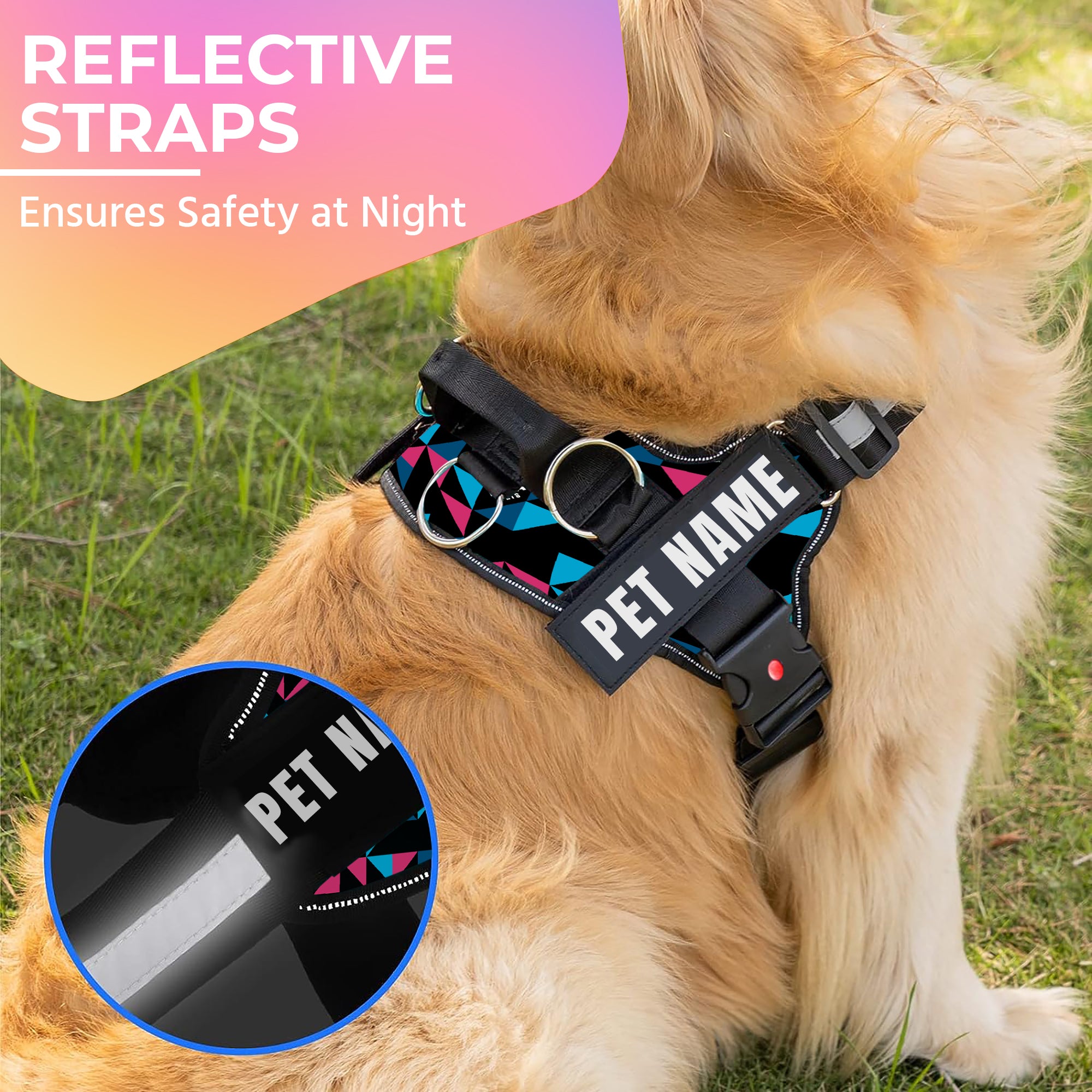 Dog harness hot sale with dogs name