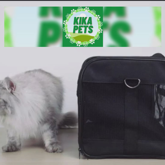 KIKA Pets SPRINGFRAME cat carrier bag video showing its features with a cat also inside the bag